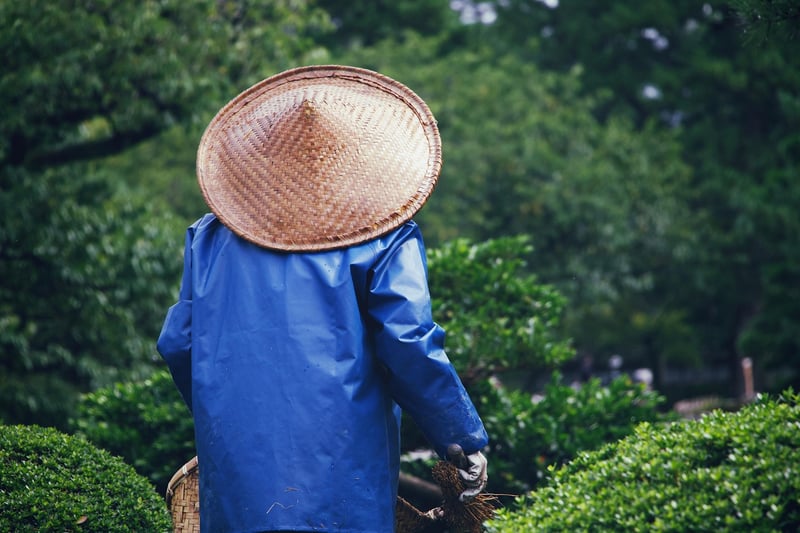 City Gardening