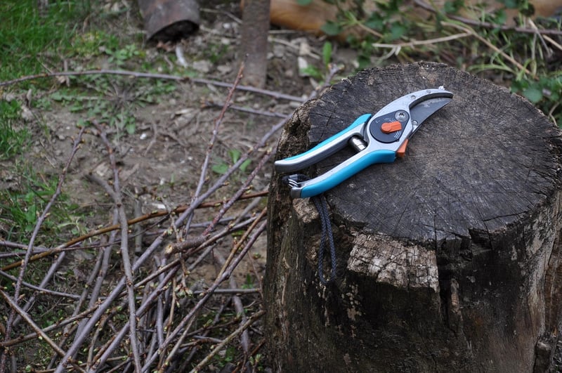 Pruning Techniques